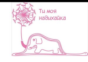 Вишкіл впорядників Пташат: ми вміємо надихнути навіть з екрану