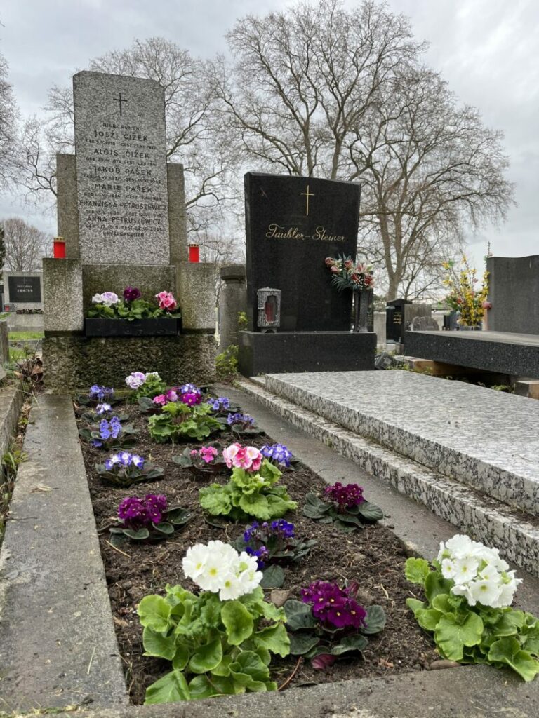 Пластуни Австрії упорядкували могили видатних учасників Національно-визвольних змагань