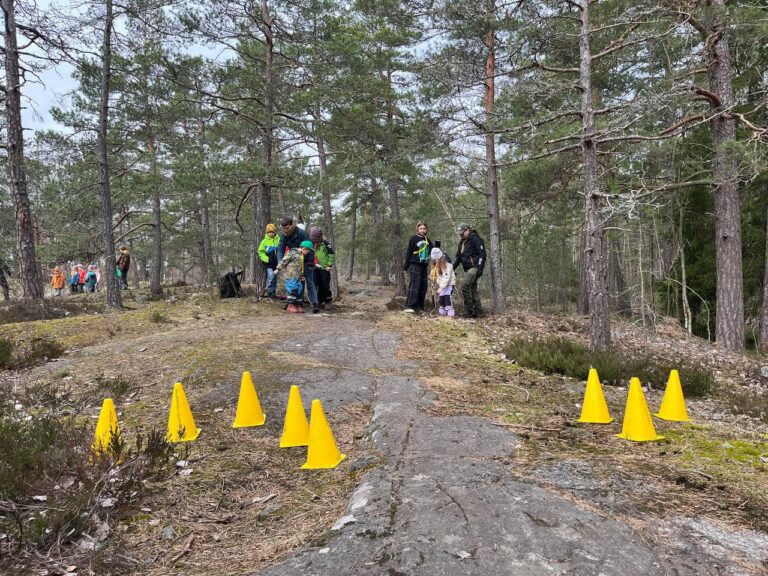 Спільні святкування річниці Пласту та Новацтва українських пластунів та шведських скаутів