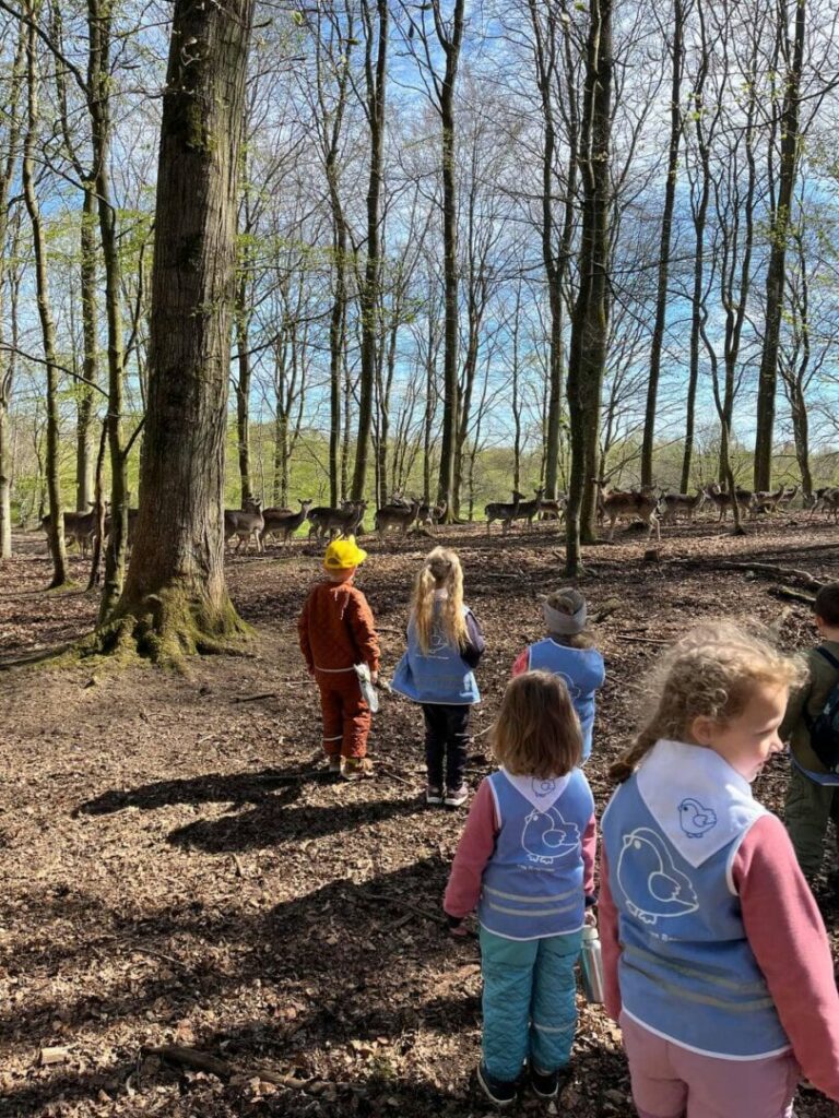 У Рандерсі відбулись спільні сходини пластунів у klatrepark Randers