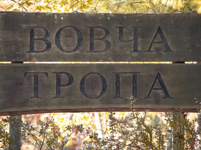 Від 3 до 5 жовтня 2025 на пластовій оселі “Вовча Тропа” відбувся Таборовий Фініш