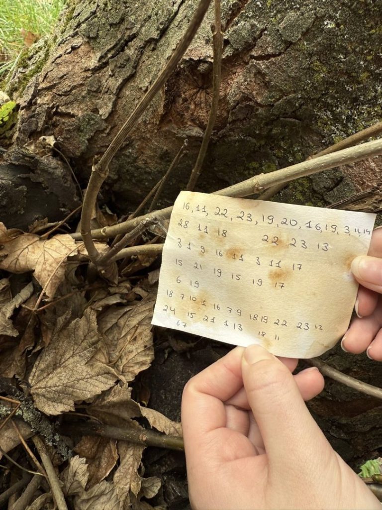 листопада 2025 року пластуни Манчестера провели акцію до Дня Листопадового Чину