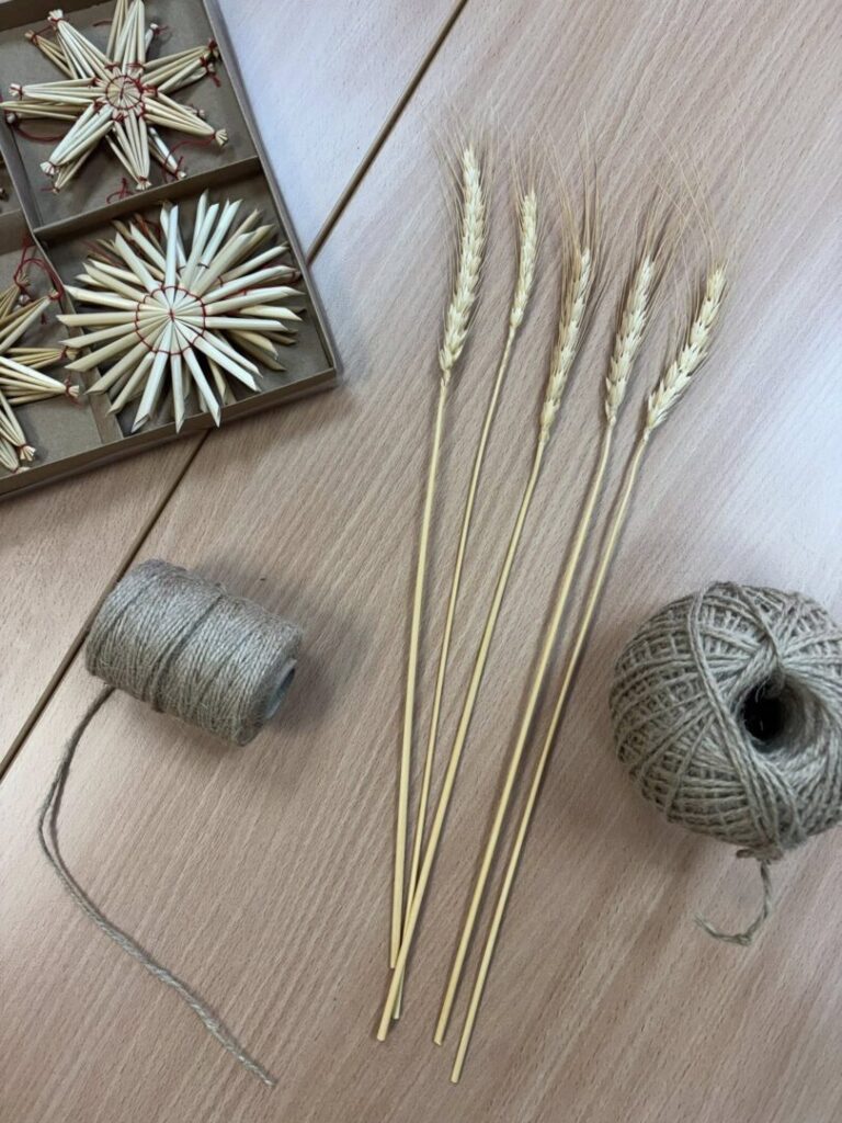 Найменші пластуни Латвії провели сходини про те, чому важливо пам’ятати та берегти правду