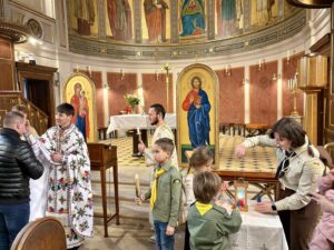 Пластуни Данії: Маленького доброго діла не буває